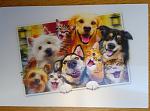     
: IMG_20210725_120727~2.jpg
: 5
:	106.7 
ID:	13500085