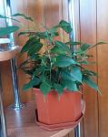     
: 20210719_131131.jpg
: 13
:	89.2 
ID:	13500206