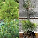     
: IMG_20210730_142800.jpg
: 13
:	244.2 
ID:	13501944