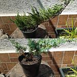     
: IMG_20210730_144328.jpg
: 15
:	212.2 
ID:	13501945