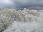     
: IMG_20210806_085051.jpg
: 19
:	106.8 
ID:	13502935