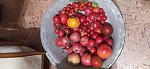     
: IMG_20210807_214539.jpg
: 16
:	101.5 
ID:	13503431