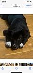     
: IMG-958d7578e951be682b272f6780bb5b42-V.jpg
: 110
:	51.2 
ID:	13503453