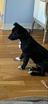     
: IMG-65168d1e8e902555d44447ebd8159f0d-V.jpg
: 117
:	46.6 
ID:	13503454