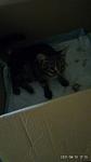     
: IMG_20210810_171531.jpg
: 16
:	39.3 
ID:	13503971