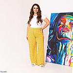     
: 3214445360_w200_h200_shtani-zhinochi-048.jpg
: 8
:	17.2 
ID:	13504157