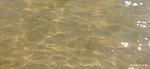     
: IMG_20210815_135205.jpg
: 21
:	48.7 
ID:	13505135