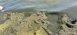     
: IMG_20210815_135108.jpg
: 20
:	147.8 
ID:	13505136