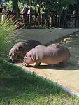     
: IMG_20210811_230723_437.jpg
: 14
:	124.3 
ID:	13505330