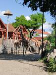     
: IMG_20210811_230746_854.jpg
: 14
:	155.8 
ID:	13505332