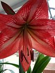     
: P00307-101355.jpg
: 18
:	78.1 
ID:	13505492