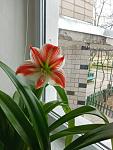     
: IMG-2e1c13647afa3a1d70bf90b3bbee607f-V.jpg
: 18
:	89.2 
ID:	13505494