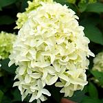     
: skyfoll.jpg
: 13
:	145.3 
ID:	13505921