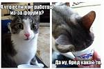     
: 0646B3BB-8123-4C15-BF8C-2301375FE136.jpg
: 8
:	67.7 
ID:	13505972
