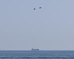     
: IMG_20210818_110927.jpg
: 18
:	44.0 
ID:	13505978