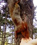     
: PIC-0122.jpg
: 43
:	133.6 
ID:	135061