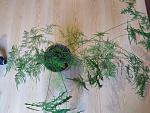     
: IMG_20210819_154544.jpg
: 34
:	222.8 
ID:	13506337