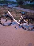     
: P10820-203618.jpg
: 23
:	101.2 
ID:	13506520