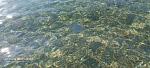     
: 20210822_090629.jpg
: 31
:	199.8 
ID:	13506818