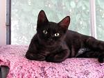     
: IMG_8991.jpg
: 36
:	123.1 
ID:	13506908