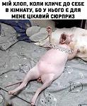    
: 6DB0ED81-477C-48B3-A835-188C1FACDBA0.jpg
: 8
:	67.1 
ID:	13507051