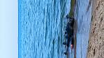     
: IMG_20210822_142148.jpg
: 32
:	151.5 
ID:	13507108