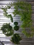    
: IMG_20210822_204732.jpg
: 31
:	169.8 
ID:	13507124