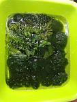     
: IMG_20210822_212015.jpg
: 36
:	123.5 
ID:	13507126