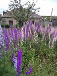     
: IMG-e44c498ec255206274b184cb8ad45c97-V.jpg
: 34
:	203.1 
ID:	13507143