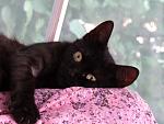     
: IMG_9033.jpg
: 31
:	107.3 
ID:	13507253