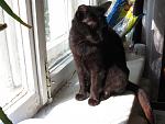     
: IMG_8654.jpg
: 28
:	114.7 
ID:	13507259