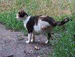     
: IMG_8459.jpg
: 33
:	155.5 
ID:	13507260
