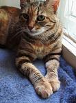     
: IMG_8574.jpg
: 29
:	114.2 
ID:	13507261