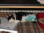     
: IMG_8520.jpg
: 34
:	155.8 
ID:	13507262