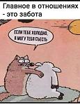     
: 120730297_329662111652579_1562889291575994548_n.jpg
: 16
:	53.9 
ID:	13507319