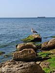     
: 5D3F9A2D-7B19-4F37-8203-85513FCD5ADA.jpg
: 24
:	86.6 
ID:	13507330