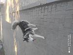     
: IMG_20210827_170121.jpg
: 24
:	119.0 
ID:	13508466