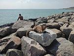     
: IMG_20210830_132909.jpg
: 58
:	131.3 
ID:	13509330