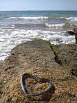     
: IMG_20210901_104000_1.jpg
: 28
:	198.2 
ID:	13509731