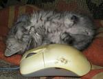     
: P7300014.jpg
: 40
:	143.6 
ID:	13510981