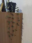     
: IMG_20210904_181951.jpg
: 20
:	81.8 
ID:	13511069