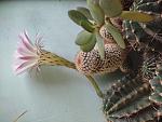     
: IMG_20210905_113939_BURST1.jpg
: 8
:	130.4 
ID:	13511143