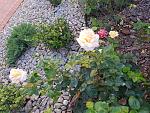     
: 20210906_183656.jpg
: 10
:	303.5 
ID:	13513894