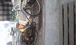     
: 20210705_170049.jpg
: 12
:	137.9 
ID:	13514010