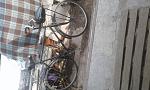     
: 20210705_165858.jpg
: 9
:	155.7 
ID:	13514084