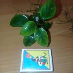     
: IMG_20210910_220616.jpg
: 19
:	66.8 
ID:	13515077