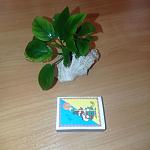     
: IMG_20210910_220639.jpg
: 19
:	77.0 
ID:	13515078