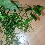     
: IMG_20210910_220409.jpg
: 17
:	151.1 
ID:	13515080
