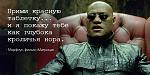     
: Mnogomerniy-YA-700x352-01.jpg
: 9
:	117.8 
ID:	13518327