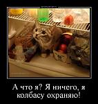     
: .jpg
: 19
:	137.5 
ID:	13518498